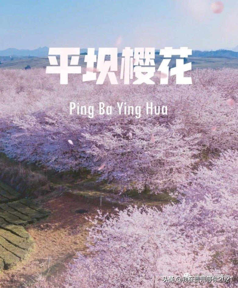 孤岛惊魂原始杀戮