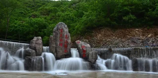 学习插花艺术