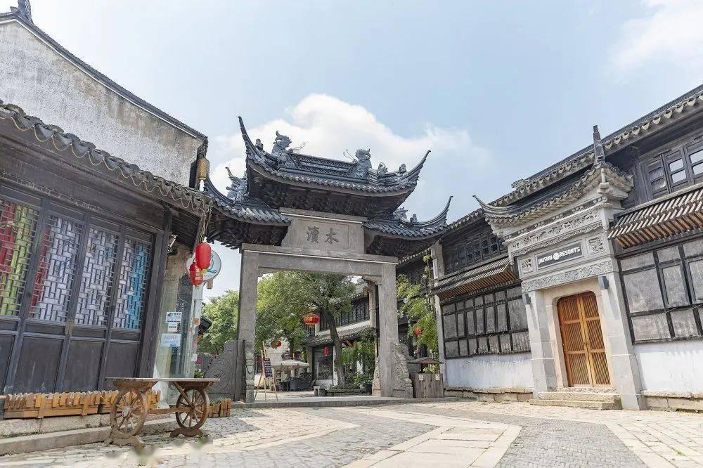 寻找萌小老虎